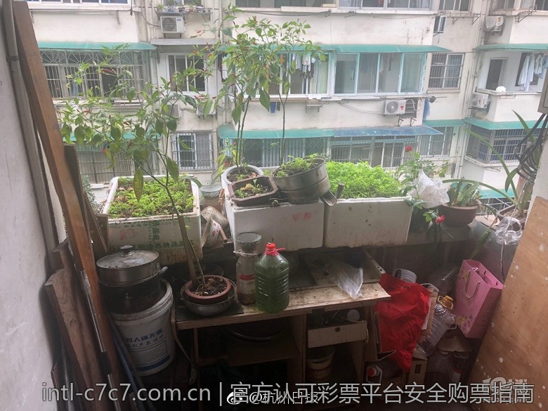 官方认可彩票平台安全购票指南