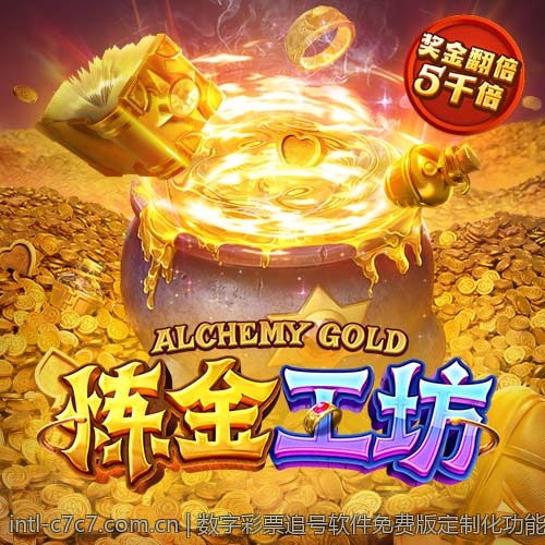 数字彩票追号软件免费版定制化功能介绍