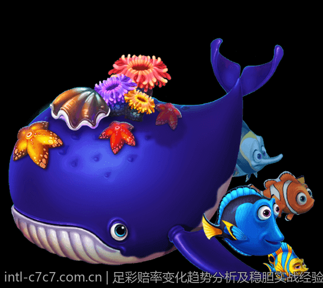 c7c7应用官网的多语言版本与国际化支持