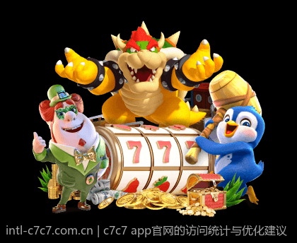 c7c7 app官网的访问统计与优化建议